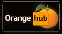 Orange Hub Banner