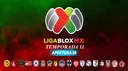 LIGA BLOX MX banner