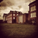 Live Laugh Lobotomy Discord server banner