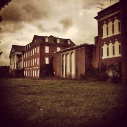 Live Laugh Lobotomy Discord server banner