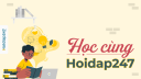 Hoidap247 Official Banner