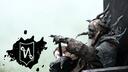 Vortex Adventures community Banner