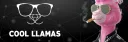 Cool Llamas Club banner