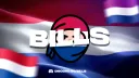 Bills banner