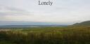 Lonely Banner