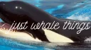 Between Trua's Thighs: Enter the Boner banner