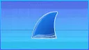 Wireshark banner