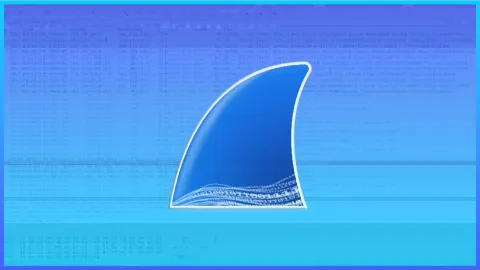 Wireshark banner