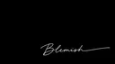 Blxmish banner