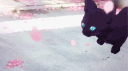 Black Kats banner