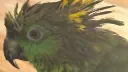Birb Paradise banner