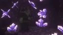BoxRip Archive banner