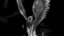 Km banner