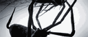 𝘎𝘢𝘺 𝘕𝘪𝘨𝘩𝘵’𝘴(No Longer Active) banner