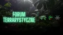ANIMOUNT COMMUNITY banner