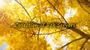 Collection Of Rob Servers Banner