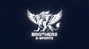 BROTHERS E-SPORTS Banner