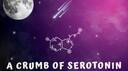 a crumb of serotonin Banner