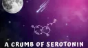 a crumb of serotonin server banner