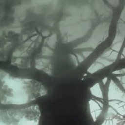 h4te Discord server banner