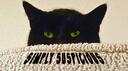 Simply Suspicious Banner