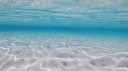 โจ๐บ Paradise ๐บโจ server banner