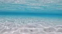 โจ๐บ Paradise ๐บโจ Discord server banner