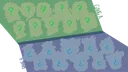 🌙 TD Supernova — S18: Tenders Afoot 🌵 banner