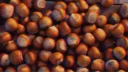 ОРЕХОВАЯ РОЩА banner