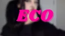 Eco banner