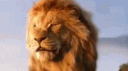 Aslan Nation Official banner