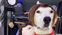 Mister Mainer (Pookie’s Server) Discord server banner