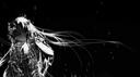 cutiez Banner