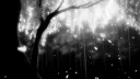 wafxz banner