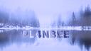 PL4NBEE Banner