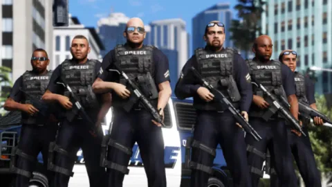 Ancien LSPD - BeryLife banner
