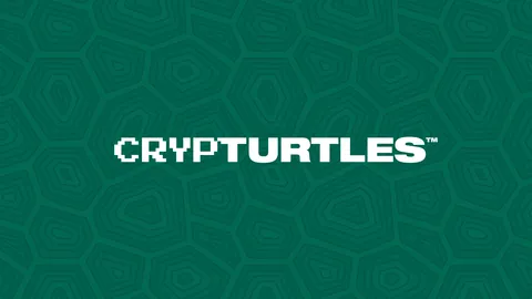 Save The CrypTurtles banner