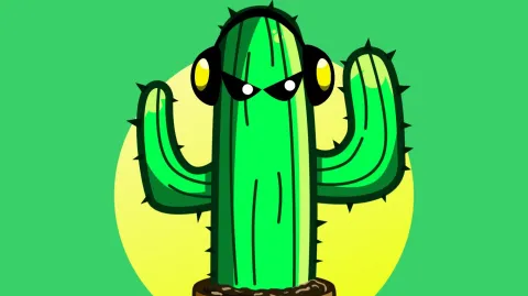 Kactus banner