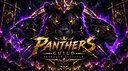 Panthers Intl. banner