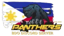 Panthers Guild 🇵🇭 banner