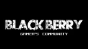 BLACK BERRY banner