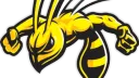 [STING] Community discord server banner