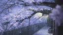 GeGe's little gremlins server banner