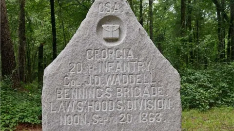 20th Georgia Volunteer Infantry Regiment banner