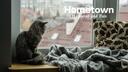 Hometown | Social  • Gaming • Nondating • Emotes • Sfw • Egirls Banner