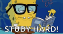 study before it's too late banner