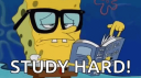 study before it's too late Banner