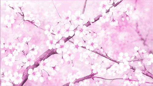 euphoria Discord server banner