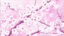 euphoria Discord server banner