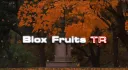 Blox Fruits TR banner